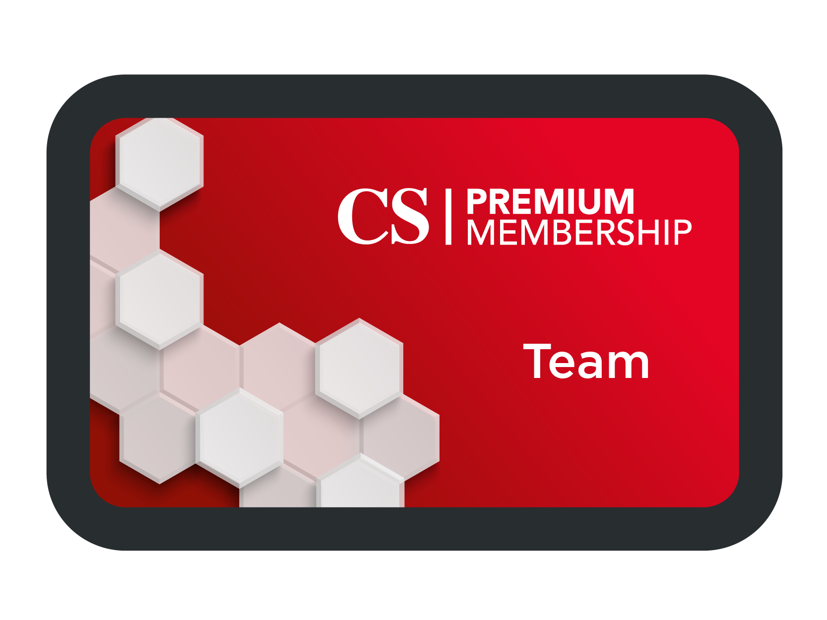 Team Premium Membership
