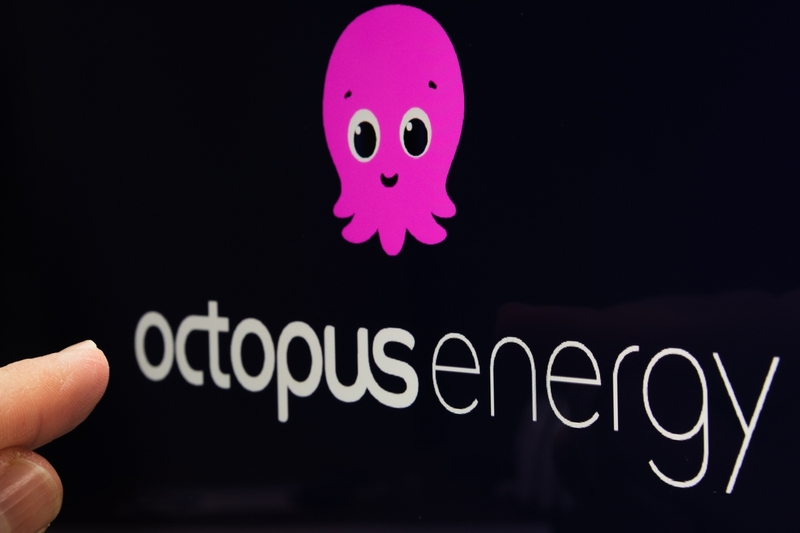 Octopus Energy Claims Crown as UK's Largest Household Energy Supplier