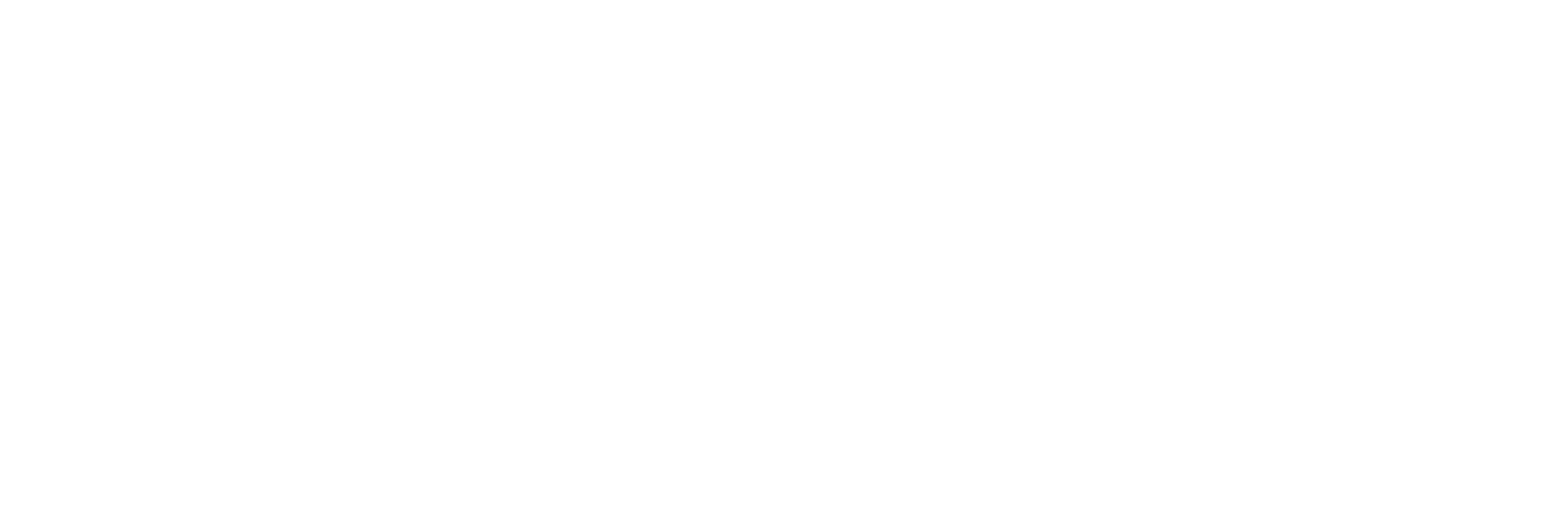30Under30 WhiteLogo