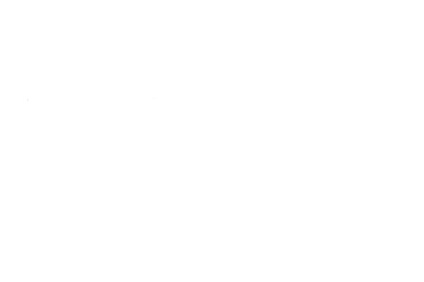 Male Allies