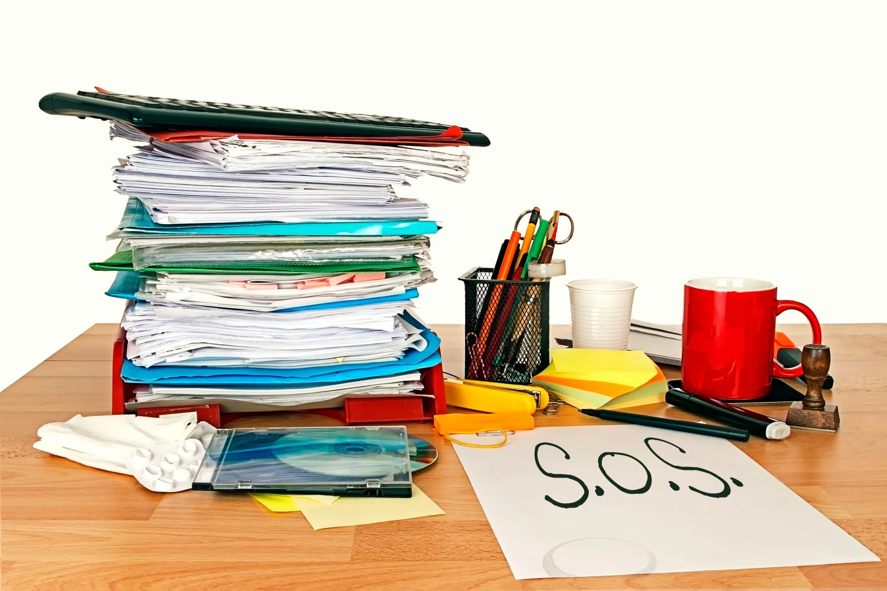shutterstock 241709089 1