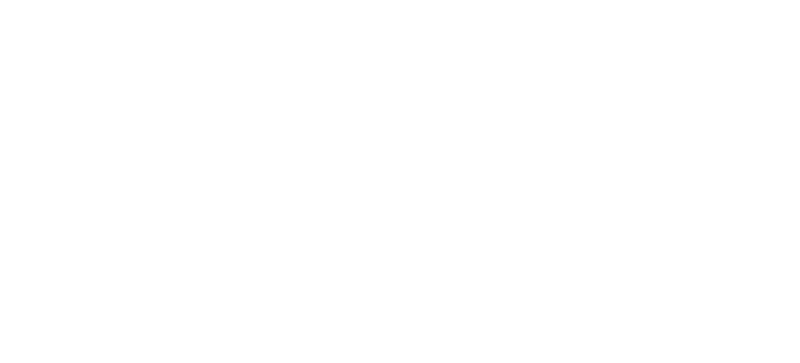 Partner 50